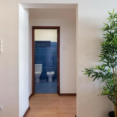 Sapphire & Bright Flat - Terrace Porto